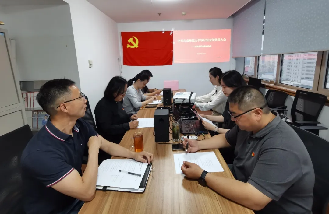 审计处党支部换届选举大会召开.jpg